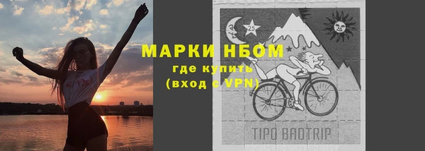 сатива Алексеевка