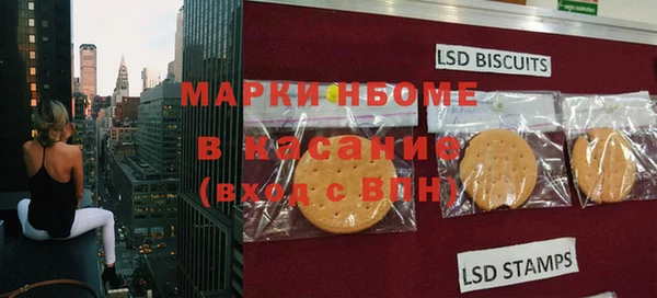 apvp Алзамай
